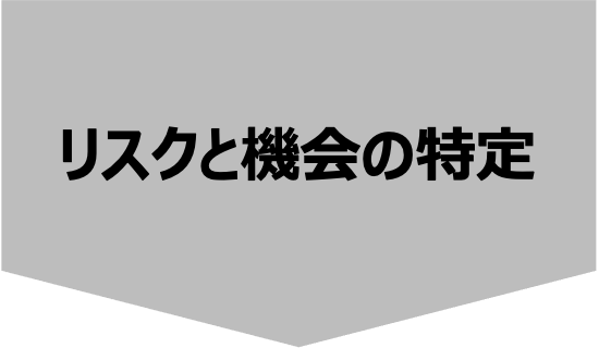 リスクと機会の特定